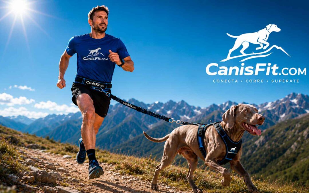 ¿Quieres practicar el Canicross con tu perro?